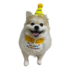 강아지 고양이 생일축하 스카프+꼬깔모자 세트 생일파티세트, 옐로우, 1개