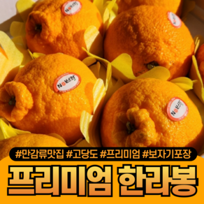 [다정한과일] 만감류 맛집 프리미엄 제주 한라봉 가정용/선물용 (보자기포장), 1세트, (보자기 포장) 3kg 대과