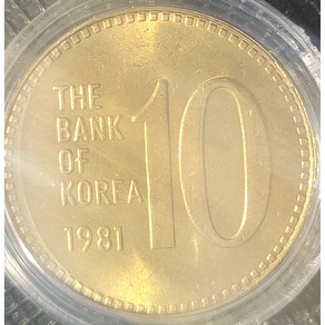 1981년 10원 알주화 희귀동전 옜날돈 수집 81년 10주 적은발행