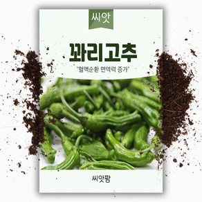 꽈리고추 씨앗(50립), 1개