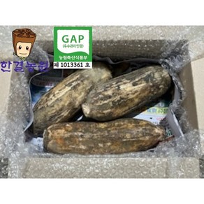 한결농원 gap인증 당일수확 연근(햇) 1kg 2kg 3kg 5kg 10kg 15kg 직접재배 산지직송, 1개, 햇연근1kg