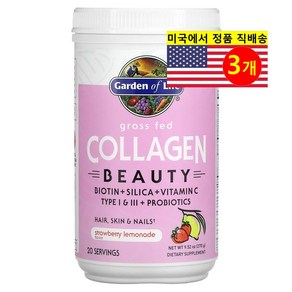 Gaden of Life 가든 오브 라이프 목초사육 콜라겐 딸기 레모네이드 Collagen Beauty, 3개, 270g