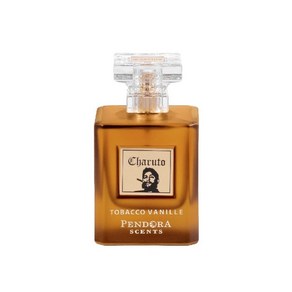 Pais Cone Pendoa Scents Chauto Tobacco Vanille, 1개, 100ml