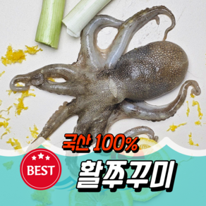 [산지직송]동해바람 자연산 활 쭈꾸미 특품 1kg, 1개, 국산 조업 활 쭈꾸미 1kg