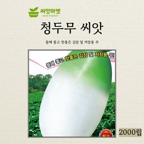 아시아종묘 청두무 씨앗 2000립, 1개