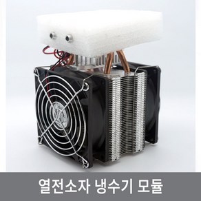 싸이피아 A6E 열전소자 냉수기 모듈 수족관 어항 냉각 쿨링 DIY, 2관 60W 냉수기 모듈