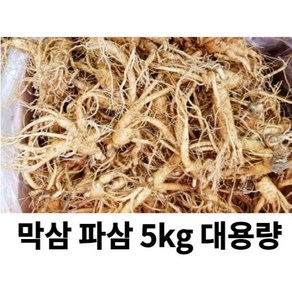 금산인삼 4-6년근 못난이 인삼 5kg 대용량 막삼 수삼 파삼 홍삼제조용, 1개