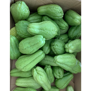 차요테 chayote 국산 차요테 열대과일채소 평창 평창차요테 국내산 차요테 부처님의손 불수과 박과식물, 1개, 3kg