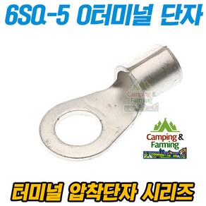 캠팜 6-5 6SQ O형 링타입 터미널 압착단자 (1개), 1개