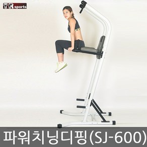 태림스포츠 파워타워 치닝디핑(sj-600)