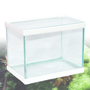 샘아쿠아 FBox 45cm 직사각 어항 (45x30x35cm) 화이트, 1개