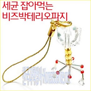 (사이언샵)박테리오파지만들기(10인), 상세설명참조