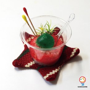 사이언스존 [분자요리(용해와 용액) 5인용] 과학실험키트 학습교구세트