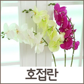 호가 호접란 조화 조화꽃 인테리어조화 인테리어소품 장식, 호접란_퍼플
