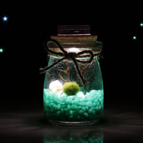 그린테라피 LED 마리모 세트 푸딩병 국내산 마리모 애완식물, LED푸딩병컬러전구