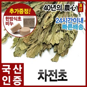 자애인 국산 차전초 300g 질경이차 말린차전초 질경이, 1개