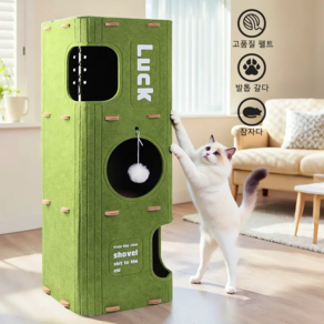 고양이 숨숨집 캣하우스 고양이집, 1개, 녹색