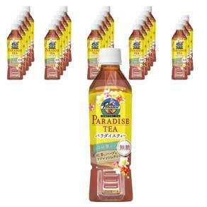 유씨씨 파라다이스 티, 24개, 450ml