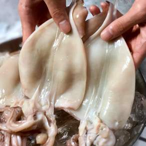 [산지직송] 자연산 손질 냉동 오징어, 1개, 2kg(10~20미내외)