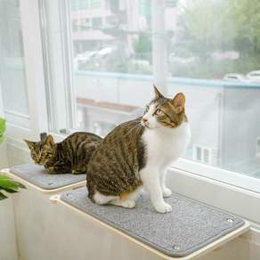 캣돌 고양이 창문 창틀 선반 캣타워, 그레이, 1개