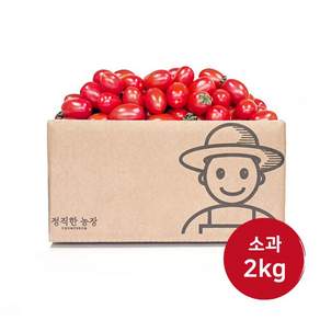 정직한농장 당일수확 산지직송 대추방울토마토, 1박스, (소과/4번) 2kg