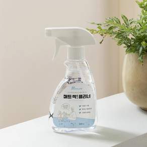 파크론 매트 싹 클리너 다용도 항균 스프레이, 300ml, 2개