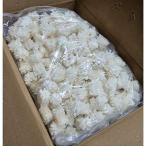 솔방울오징어 5kg 10kg 벌크 냉동 손질 대왕오징어 도매용 업소용 특A급, 1개