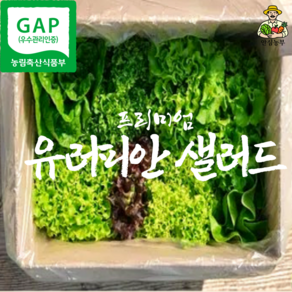 [GAP인증] 안심농부 당일수확 유러피안 쌈채소 8~9종, 1개, 1kg