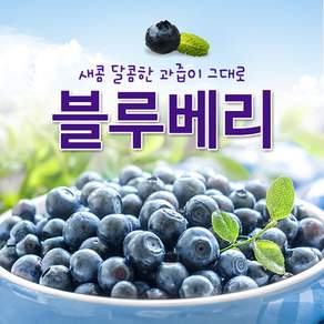 백운팜 국내산 블루베리(급냉), 1개, 블루베리(냉동) 1kg 대(14~15mm)