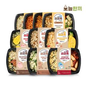 도시락연구소 한식도시락 10종 불고기 떡갈비 숯불구이 닭갈비 오믈렛 스테이크 김치볶음밥, 200g, 10개