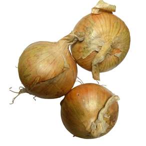 국내산 잘말려 단단한 무안 햇 양파 3kg 5Kg 10Kg 짱아찌 소 / 중 / 대 / 특, 1개, 5kg 대