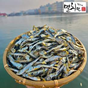 멸치원 남해안 통영 국물용 햇솔치 실속/알뜰 다시용, 1개, 1.5kg