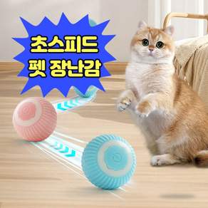 앤트앤비 펫츠 드리블 볼 강아지 고양이 공 장난감, 스카이블루, 1개