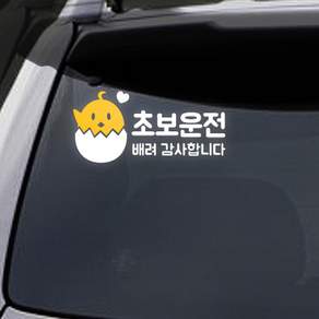 트웬티팩토리 초보운전 스티커 병아리초보(배려), 반사지, 1개