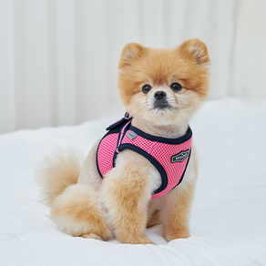 RealPet 프리세이프 강아지 조끼 하네스, 핑크, 1개
