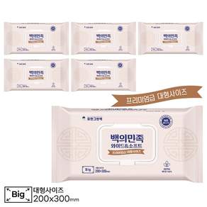 유한그린텍 백의민족 60매 캡형 6팩 요양병원 간병인 피부 저자극 두툼한 대형 프리미엄 물티슈 크고 부드러운 생분해성 레이온 100%, 6개