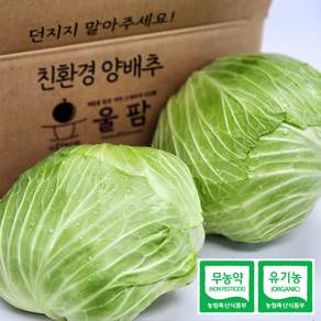 [울팜] 아삭 달달 국내산 친환경 양배추 무농약 유기농 제주 무안 밀양, 1박스, 5kg