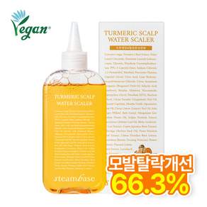 [공식] 스팀베이스 강황 쿨링 두피 워터 스케일러 모발 탈락 개선, 1개, 250ml