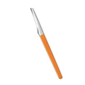 웨젼 발 각질 제거 칼 패디나이프 뒤꿈치 굳은살 제거기, 15g, 1세트, 2개입