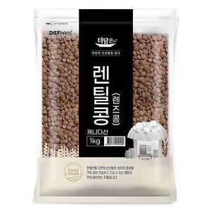 더담은 렌틸콩 렌즈콩, 1kg, 1개