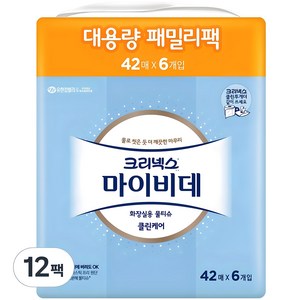 마이비데 클린케어 화장실용 물티슈 패밀리팩 휴대형, 42매입, 12개