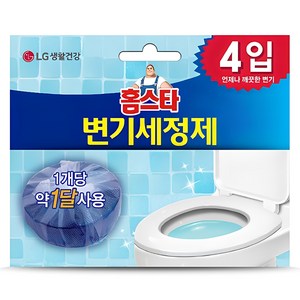 홈스타 변기 세정제 고체형 4개입, 160g, 1개