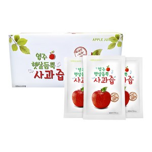 영주햇살듬뿍 사과즙, 3L, 30개