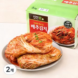 신선애 배추김치, 5kg, 2개