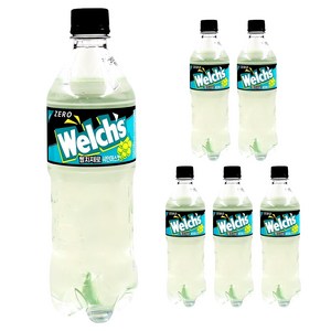 웰치스 제로 샤인머스캣, 600ml, 6개