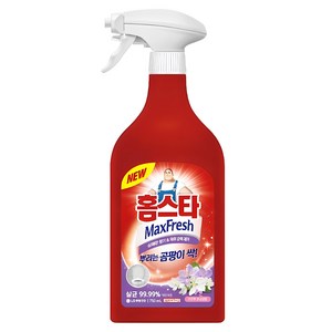 홈스타 맥스프레쉬 뿌리는 곰팡이 싹 세정제, 750ml, 1개