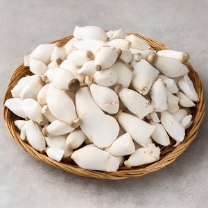 친환경 미니 새송이버섯, 600g, 1개