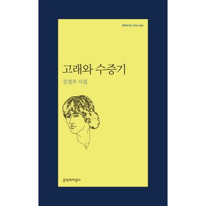 고래와 수증기, 문학과지성사, 김경주 저