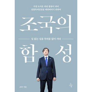 조국의 함성 : 길 없는 길을 두려움 없이 가다, 오마이북, 조국