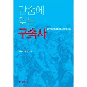 단숨에 읽는 구속사:성경 전체를 관통하는 구원 이야기, 생명의말씀사, 김창영,김홍만 공저